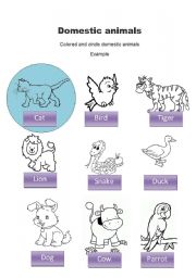 English Worksheet: domestic animals