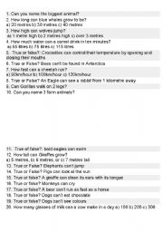 English Worksheet: can and cant animal quiz