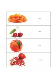 English Worksheet: flash card lo