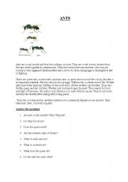 English Worksheet: reading about ants  (simple present)