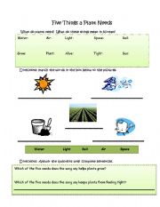 English Worksheet: The Five Needs of a Plant