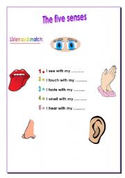 English Worksheet: The five senses