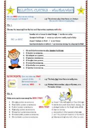 English Worksheet: Relative Clauses - clauses with who/which/that