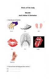 English worksheet: Parts of the body- Sizzlin - Juli Fabian & Zoohacker