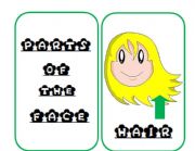 English Worksheet: PARTS OF THE FACE