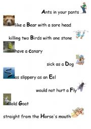 English worksheet: Expressions alphabet with animals
