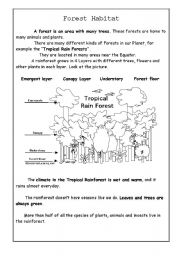 English Worksheet: Forest Habitat