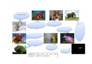 English worksheet: Animals