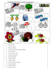 English Worksheet: READING COMPRENHENSION - DEMONSTRATIVES 