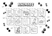 English Worksheet: Animals