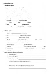 English worksheet: Short Grammar revision or test 
