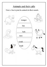 English worksheet: Animals and their calls