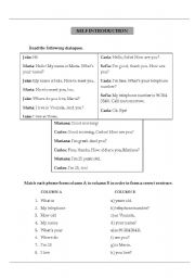 English Worksheet: Self - introduction