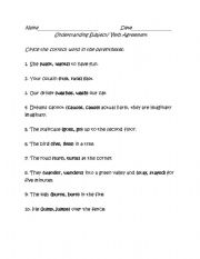 English Worksheet: Subject Verb Agreement