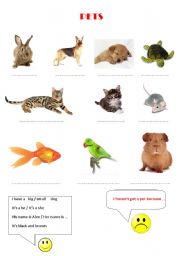 English worksheet: PETS