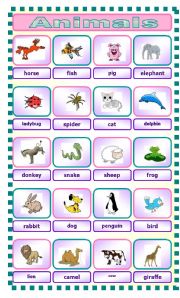 English Worksheet: Animals