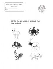 English worksheet: land animals