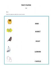 English Worksheet: Test Paper -elementary