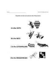 English worksheet: Buggy Vocabulary A-D
