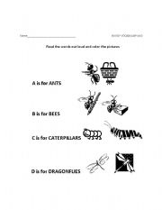 English Worksheet: Buggy Vocabulary A-D