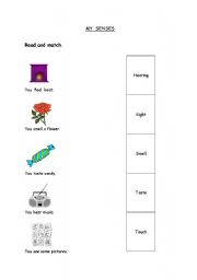English Worksheet: My Senses