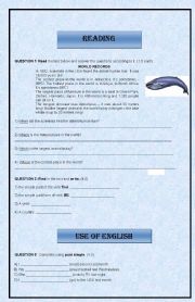 English worksheet: Elem. Test