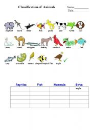 English Worksheet: classification of animals 1.