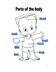 English Worksheet: Parts of the body