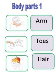 Body parts 