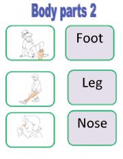 English Worksheet: Body parts 2