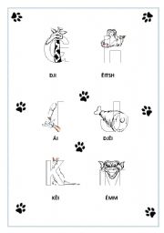 English worksheet: Alphabet