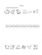 English Worksheet: Animals