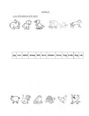 English worksheet: Animals