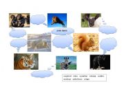 English worksheet: Animals (part 3)