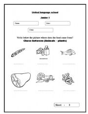 English worksheet: where deos food come from?