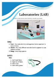 English Worksheet: Laboratories
