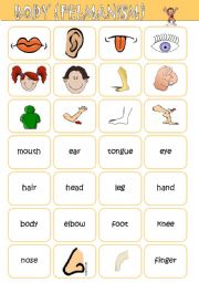 English Worksheet: Body Pelmanism