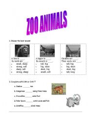 English worksheet: Animal of the Zoo