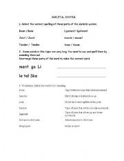 English Worksheet: Skeletal System
