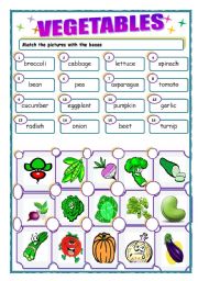 English Worksheet: vegetables