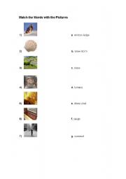 English Worksheet: Vocabulary