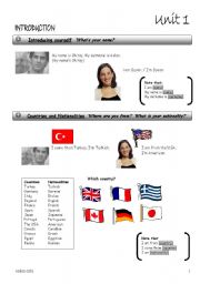 English worksheet: Introduction - 1, countries