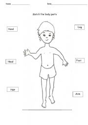 English worksheet: My body