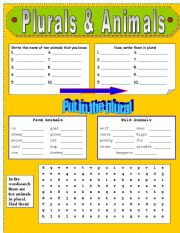 PLURALS & ANIMALS