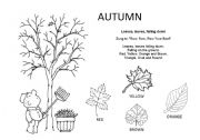 English Worksheet: Autumn