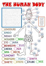 English Worksheet: BODY PARTS - a wordsearch + unscrambling words + matching + key