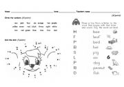 diagnostic test beginner