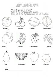 English Worksheet: AUTUMN FRUITS