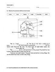 English Worksheet: parts of tree