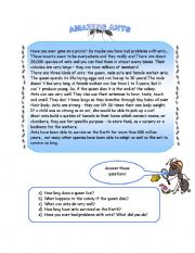 English Worksheet: ANTS